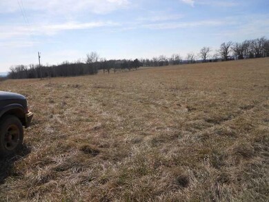 Land. Tree lines on west and south approx. propert