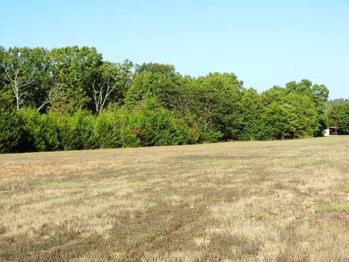 Tbd Hoot Owl Point, Ruth B Rural Township, MO 65686 - photo 3