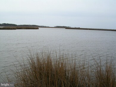 1748 E Tedious Creek Rd, Toddville, MD 21672 - photo 4