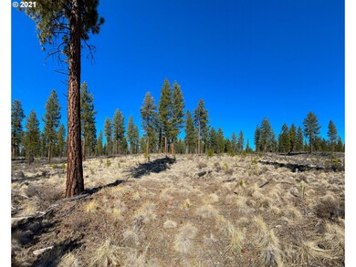 54645 U S 97, Bend, OR 97707 - photo 6