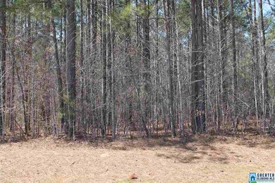 00 Clarendon Rd unit lot 65, Cullman, AL 35057 - photo 6