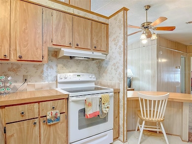 1441 Apache Cir, Tavares, FL 32778 - photo 6