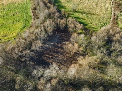 1 Hicks Ln W, Columbia, TN 38401 - photo 4