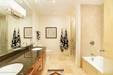 231 Robinson St 214 Basalt CO-large-010-