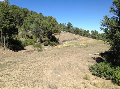 33079 Mountain Meadow Overlook unit Lot D11, Trinidad, CO 81082 - photo 3