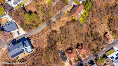 DJI_0040_1 (1)