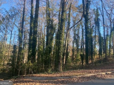 0 Lakeside Dr unit 10655294, Ellenwood, GA 30294 - photo 5