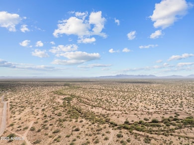 large-01924ed8-b34e-7147-88b3-6de61931fa