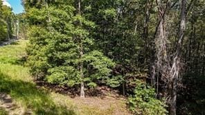 2 Arrow Trail, Waleska, GA 30183 - photo 5