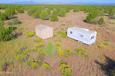 TBD Wagon Tree Rd 9 92 Acres --, Ash Fork, AZ 86320 - photo 2
