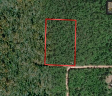 TBD Indian Valley Ln, Mammoth Spring, AR 72554 - photo 2