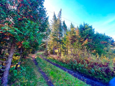 67 Saddleback Mountain Rd, Dallas Plantation, ME 04970 - photo 2