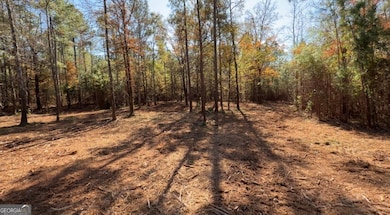 TRACT B Russellville Rd, Forsyth, GA 31029 - photo 3