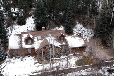 1727 Fall River Rd, Idaho Springs, CO 80452 - photo 3