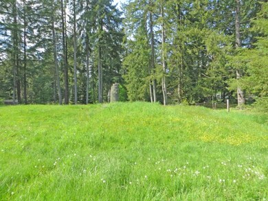 16830 Ty Ln SW, Rochester, WA 98579 - photo 7