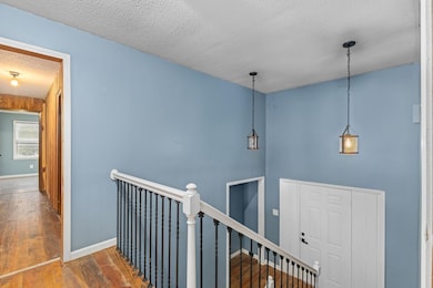 1589 Lagrange Rd, Leighton, AL 35646 - photo 4