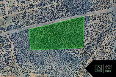 0 W Conejo Rd, Seligman, AZ 86337 - photo 6