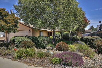 Front with great plantings