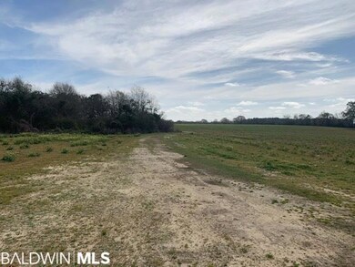500 Blk Brazzell Hill Rd, Atmore, AL 36502 - photo 7