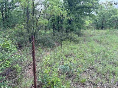 Tbd Tract 1 Sunset Ln, Jacksboro, TX 76458 - photo 5