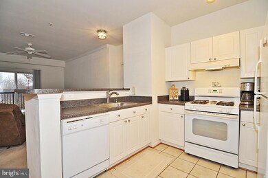 11321 Aristotle Dr unit 3-202, Fairfax, VA 22030 - photo 7