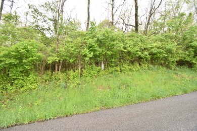 Tract 5 at Dean Rd, Harrodsburg, KY 40330 - photo 2