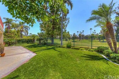 Another View of the Back Yard*