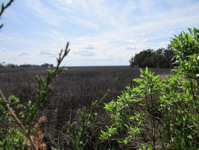 2003 Sea Palms West Dr unit LOT 2, St. Simons Island, GA 31522 - photo 3