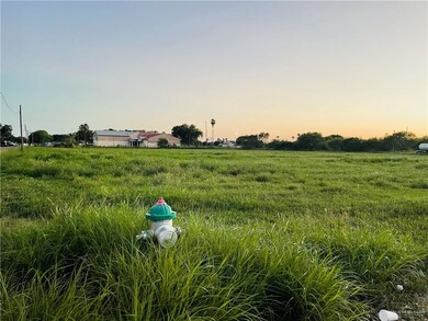 904 Baize Ave, Donna, TX 78537 - photo 4