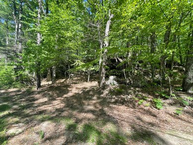 0 Barre Rd, Hubbardston, MA 01452 - photo 3