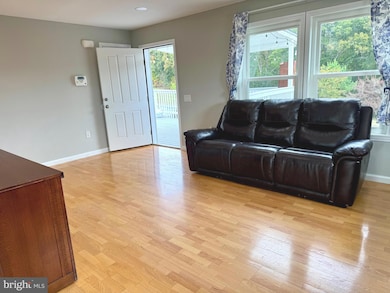 220 Snappy Ln, Winchester, VA 22602 - photo 4