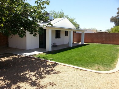 Back Yard