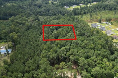 Aerial overview of property's location with a forest and property parcel outlined