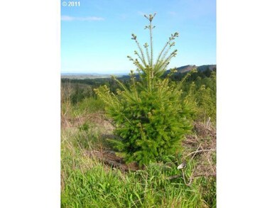 17754 Oregon 22 unit 5, Sheridan, OR 97378 - photo 4