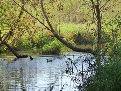 119.1 Ac Old Hwy 81, Argyle, WI 53504 - photo 7