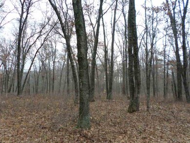 20 Ac 22nd St, Camp Douglas, WI 54618 - photo 7