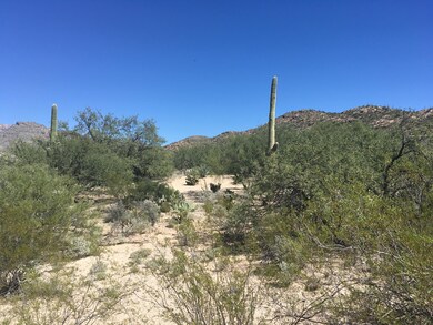 Desert Beauty