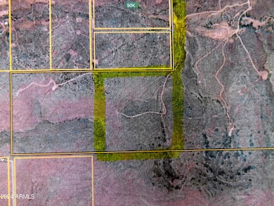 Lot 2 W Red Mountain Rd unit 2, Bisbee, AZ 85603 - photo 2