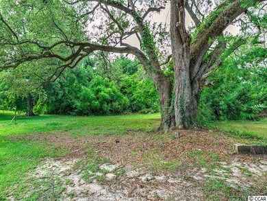 0 Apple Ln, Conway, SC 29527 - photo 2