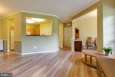 5915 Abrianna Way unit UTB, Elkridge, MD 21075 - photo 6