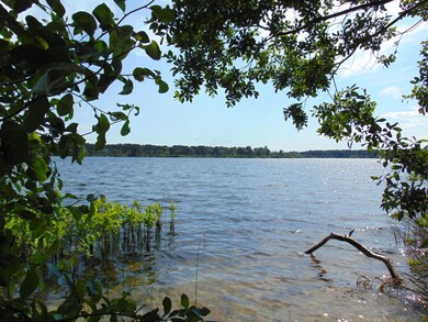 Great Pond 010