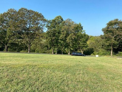 290 Newbury Rd, Reeds Spring, MO 65737 - photo 4