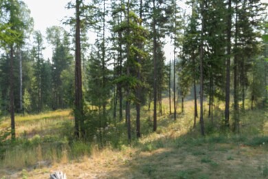 2111 Dry Creek Rd, Chewelah, WA 99109 - photo 7