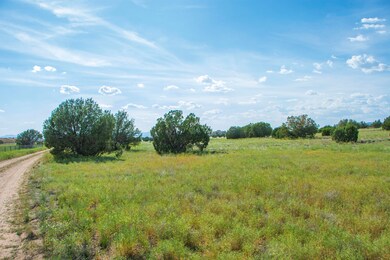 12X2 E Cougar Ridge Rd, Paulden, AZ 86334 - photo 2