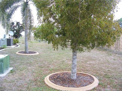 Very mature trees in rear of home with concrete cu