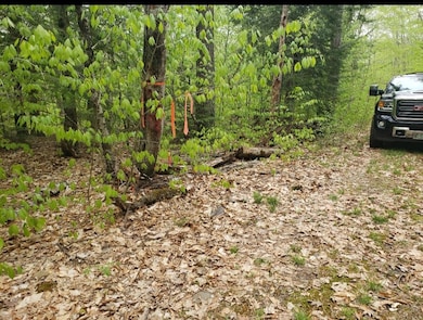 0 Old Gilsum Rd unit 5034729, Keene, NH 03431 - photo 5