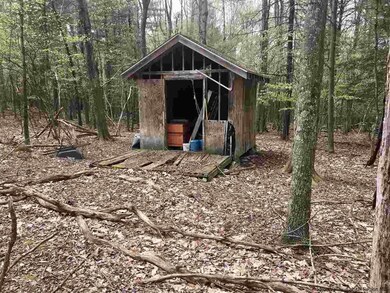 60 Lawrence Hill Rd, Rochester, NY 12404 - photo 4