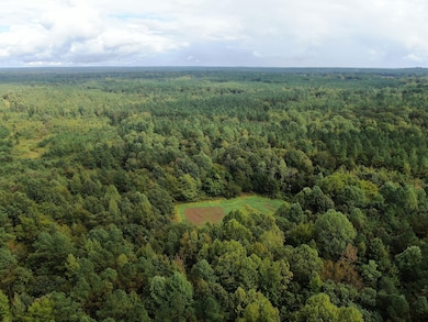 Mt Gilead Rd, Holly Springs, MS 38635 - photo 3