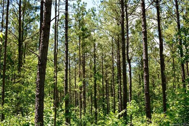 003 Vesuvius Furnace Rd unit 3, Ironton Township, NC 28080 - photo 3
