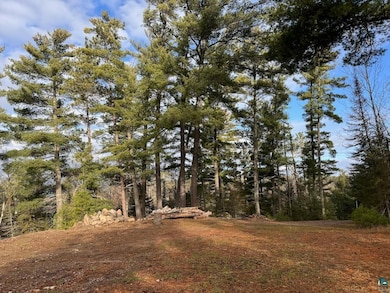 View of nature